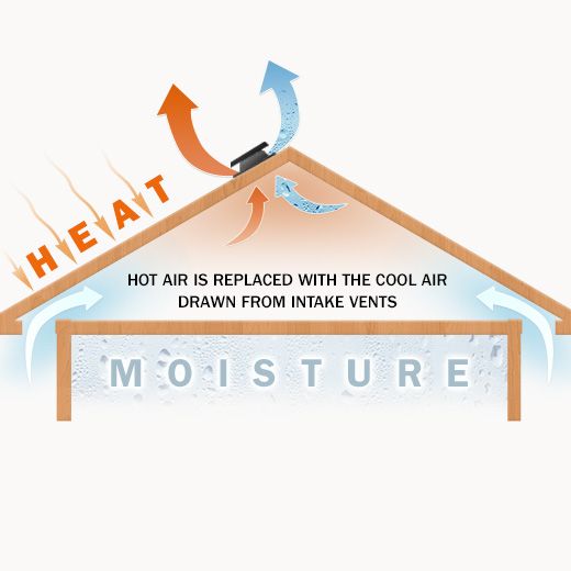 Canterbury Ceiling Fan Electricians