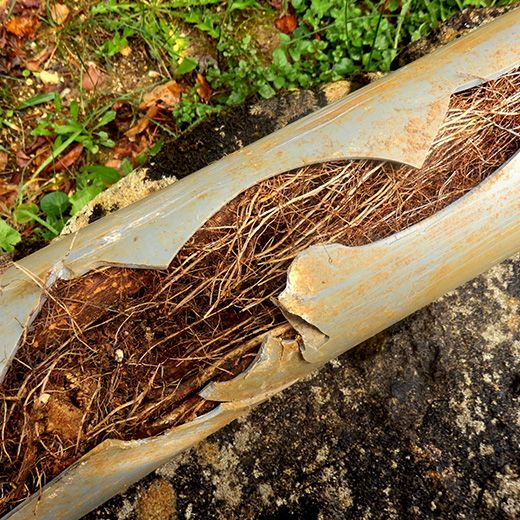 Same Day Drain Sewer & Rooter Pros Across Canterbury